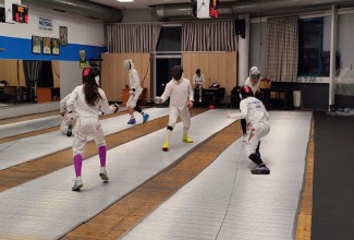 fencing
