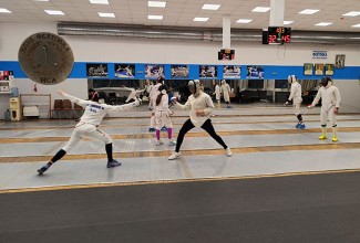 Pro fencing