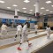 Fencing session